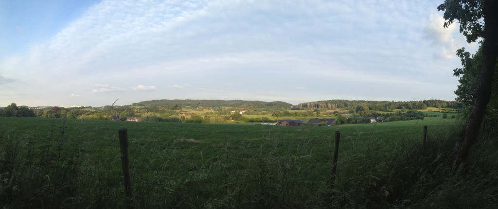 Panoramic view of the surroundings